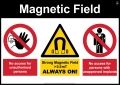 10.0 Magnetic Field3 L A4